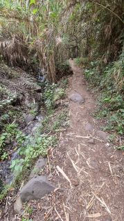 2024-01-GranCan-Barranco_de_los_Cernicalos-045.jpg